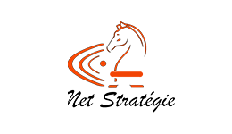 logo-Net-Strategie